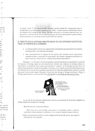 Querido maestro (c42)