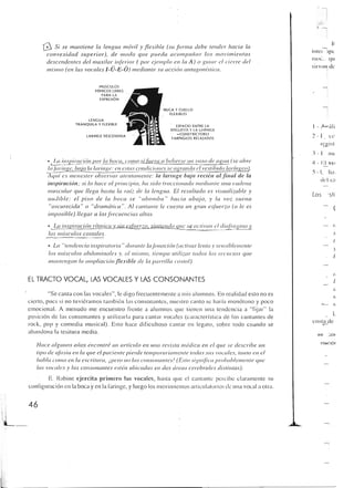 Querido maestro (c42)