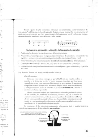 Querido maestro (c42)