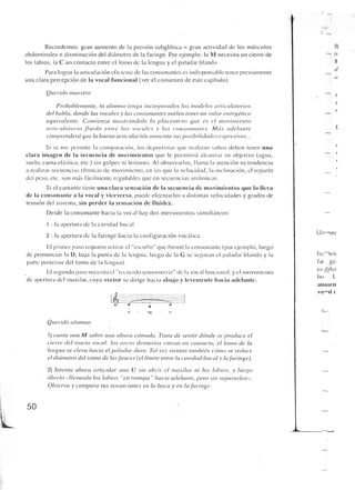 Querido maestro (c42)