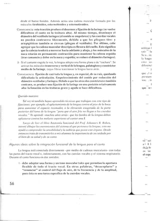 Querido maestro (c42)