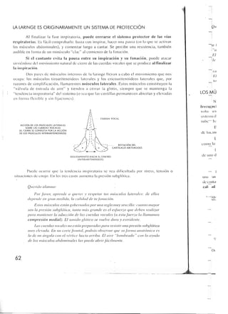 Querido maestro (c42)