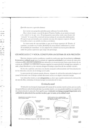 Querido maestro (c42)