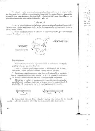 Querido maestro (c42)