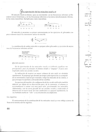 Querido maestro (c42)