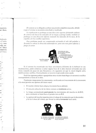 Querido maestro (c42)