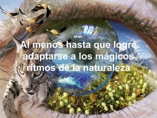 Al menos hasta que logre
adaptarse a los mágicos
ritmos de la naturaleza
 