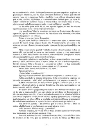 12
no tuvo demasiado miedo. Sabía perfectamente que esa corpulenta serpiente es
pacífica por naturaleza, que no ataca a los seres humanos a menos que éstos la
acosen y que no es venenosa. Sabía —también— que sólo se alimenta de aves
por lo que continuó vigilándola sí —manteniéndose inmóvil pero sin dejar de
silbar— durante los instantes en que la boa se deslizó suavemente hacia el suelo,
zigzagueando su bellísimo cuerpo verde, rayado en blanco y amarillo.
Lo increíble para Mila no era ver aquella especie de boa. En ciertas
oportunidades ya había visto ejemplares similares.
¿Lo asombroso? Que la gigantesca serpiente no le demostrara la menor
aprensión, que se arrastrara hacia ella no únicamente con absoluta calma sino
como subyugada por sus silbidos.
Pronto la tuvo muy cerca de sus pies.
El gran reptil empezó —entonces— a enroscarse sobre sí mismo hasta
quedar de medio cuerpo erguido hacia ella. Verdaderamente, era como si la
mirara a los ojos y la estuviera escuchando, en estado de fascinación debido a su
silbo.
Mila conservaba la quietud y silbaba. Seguía silbando cuando la boa se
desenrolló con lentitud, recuperó su movimiento zig-zag y —tan suavemente
como se le había aproximado— se escurrió entre las hierbas y las piedras de los
alrededores del árbol, con un leve sonido metálico.
Enseguida, volvió sobre sus huellas y se izó —enganchando su cola a unas
ramas— hasta confundirse entre el tupido follaje del que se había desprendido.
Recién entonces Mila se levantó y —sin dejar de silbar— se fue caminando
despacio hasta alcanzar unas rocas enanas, donde volvió a sentarse.
Estaba ahora a unos diez metros de "su" árbol.
Pensaba en la boa.
¿Acaso la boa pensaría en ella?
Aguardó un buen rato antes de decidirse a emprender la vuelta a su casa.
Había aprontado la cámara fotográfica. Si la extraordinaria serpiente se
asomaba nuevamente... ¡clic! ¡clic!, quedaría cautiva —al menos— en su rollo.
Y Mila consideró que era muy suertuda porque —antes de que el sol se
apagara— el animal retornó a girar en derredor de ella, como convocada por su
ininterrumpida melodía silbada.
No podría decirse que posaba para las fotos pero Mila se convenció de que
sí, tal era la mansedumbre con que rotaba, se enrollaba, se desenroscaba o
elevaba su cabeza ante ella. ¿Estaría bailando al compás de su silbatina? (Si bien
ese tipo de serpientes suelen poseer una voz aguda y penetrante que se asemeja
perfectamente a un silbo, a Mila le resultaba casi inconcebible que el gigantesco
bicho bailara respondiendo al suyo de la manera afectuosa en que lo hacía.)
Fue entonces cuando —deslumbrada por esa danza insólita— Mila se
animó a hablarle con la confianza con que se dirigía a su perro.
—Ya oscurece. Mañana vengo, ¿entendiste?
Por toda respuesta, la boa se deslizó hacia el árbol como si hubiera sido
una manguera a la que alguien recoge de prisa.
Antes de prenderse de unas ramas mediante su cola y de escabullirse entre
la hojarasca de la copa, giró su cabezota y sostuvo la mirada de Mila unos
 