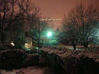 O perfume da noite 