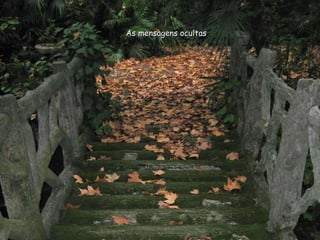 As mensagens ocultas 