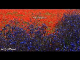 Os contrastes 
