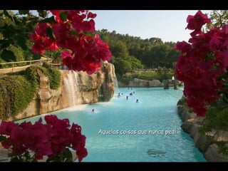 Aquelas coisas que nunca pedi 