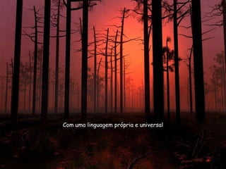 Com uma linguagem própria e universal 
