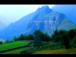 O equilibrio justo dos 5 sentidos 