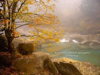 A harmonia natural dos quatro elementos 