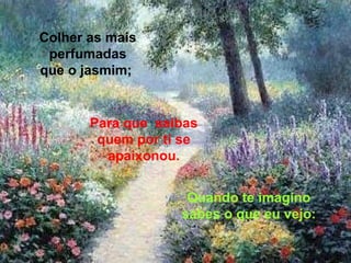 Quando te imagino sabes o que eu vejo: Para que  saibas quem por ti se apaixonou. Colher as mais perfumadas que o jasmim;   