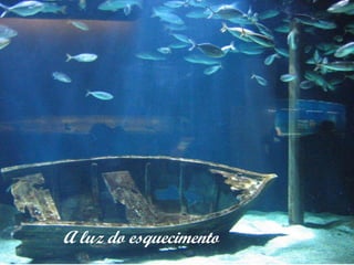 A luz do esquecimento 