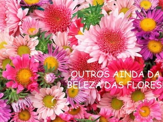 OUTROS  DA BELEZA DAS FLORES OUTROS AINDA DA BELEZA DAS FLORES! 