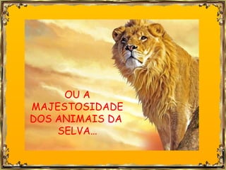 OU A MAJESTOSIDADE DOS ANIMAIS DA  SELVA… 