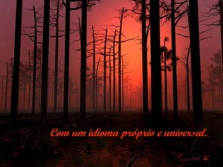 Com um idioma próprio e universal. 