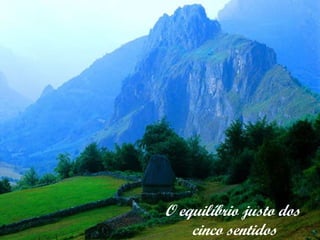O equilíbrio justo dos  cinco sentidos 