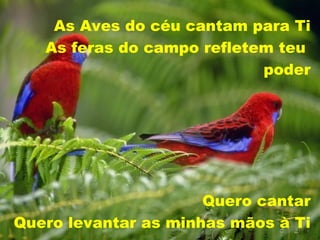 As Aves do céu cantam para Ti As feras do campo refletem teu  poder Quero cantar Quero levantar as minhas mãos à Ti 