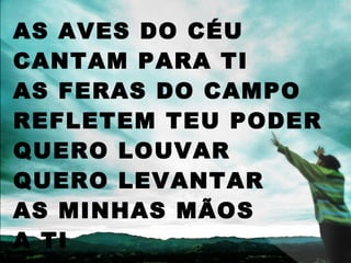 AS AVES DO CÉU
CANTAM PARA TI
AS FERAS DO CAMPO
REFLETEM TEU PODER
QUERO LOUVAR
QUERO LEVANTAR
AS MINHAS MÃOS
A TI
 