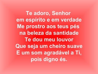 Te adoro, Senhor
em espírito e em verdade
Me prostro aos teus pés
na beleza da santidade
Te dou meu louvor
Que seja um cheiro suave
E um som agradável a Ti,
pois digno és.
 