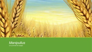 Manipullus
Um punhado de espigas
 