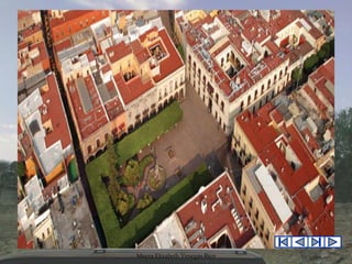 Mayra Elizabeth Venegas Rico

 