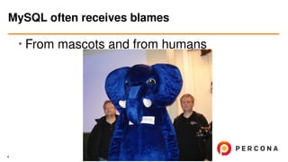 • From mascots and from humans
MySQL often receives blames
4
 