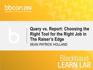 Query vs. Report: Choosing the 
Right Tool for the Right Job in 
The Raiser’s Edge 
SEAN PATRICK HOLLAND 
 