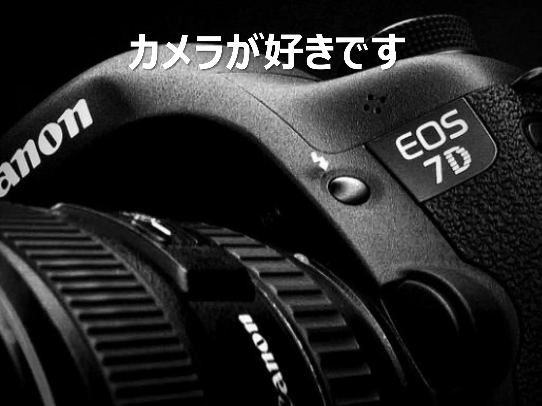 Copyright Since 1999 10 © GaiaX Co. Ltd. All rights reserved. 
カメラが好きです  