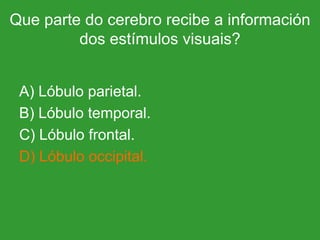 Que parte do cerebro recibe a información dos estímulos visuais? A) Lóbulo parietal. B) Lóbulo temporal. C) Lóbulo frontal. D) Lóbulo occipital. 