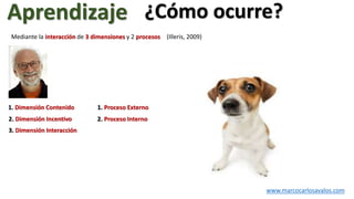 ¿Cómo ocurre?
www.marcocarlosavalos.com
1. Proceso Externo
2. Proceso Interno
1. Dimensión Contenido
2. Dimensión Incentivo
3. Dimensión Interacción
Aprendizaje
Mediante la interacción de 3 dimensiones y 2 procesos (Illeris, 2009)
 