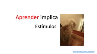 Aprender implica
Estímulos
www.marcocarlosavalos.com
 
