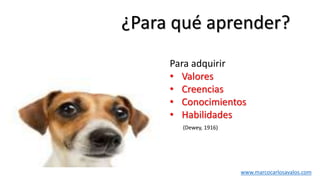 ¿Para qué aprender?
Para adquirir
• Valores
• Creencias
• Conocimientos
• Habilidades
www.marcocarlosavalos.com
(Dewey, 1916)
 