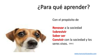 ¿Para qué aprender?
Con el propósito de
Renovar a la sociedad
Sobrevivir
Saber ser
Convivir con la sociedad y los
seres vivos.
www.marcocarlosavalos.com
(Ibíd.)
 