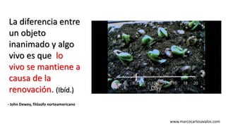 www.marcocarlosavalos.com
- John Dewey, filósofo norteamericano
La diferencia entre
un objeto
inanimado y algo
vivo es que lo
vivo se mantiene a
causa de la
renovación. (Ibíd.)
 
