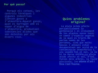 Per què passa?
Perquè els cotxes, les
centrals tèrmiques i
algunes indústries
llencen gasos a
l’atmosfera.Aquest gasos,
quan es barregen amb el
vapor d’aigua de
l’atmosfera, produeixen
substàncies àcides que
són dolentes per als
éssers vius.
Quins problemes
origina?
La pluja àcida afecta
perjudicialment la
germinació i el creixement
de les plantes sense tenir
en comte l’espècie vegetal
de la qual es tracti.No
parlem només de les
persones, sinó que molts
boscos i animals estan
desapareixen per acció de la
contaminació atmosfèrica i,
una vegada fet el mal, ja no
hi ha marxa enrere.La pluja
àcida afecta al sol, a les
fulles dels arbres, la fauna
piscícola, les obres d’art i
fins i tot l’home.
 
