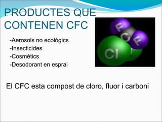 PRODUCTES QUE
CONTENEN CFC
-Aerosols no ecològics
-Insecticides
-Cosmètics
-Desodorant en esprai
El CFC esta compost de cloro, fluor i carboni
 