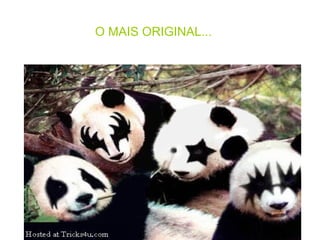 O MAIS ORIGINAL...                                                  