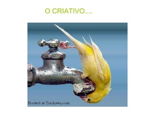 O CRIATIVO....                                             