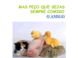 MAS PE Ç O QUE SEJAS SEMPRE COMIGO   O AMIGO   
