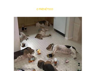 O FRENÉTICO   