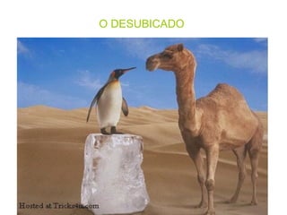 O DESUBICADO                            