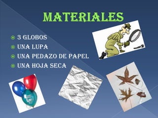 Materiales3 globosUna lupa Una pedazo de papelUna hoja seca 