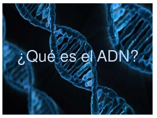 Qué es el adn Joana