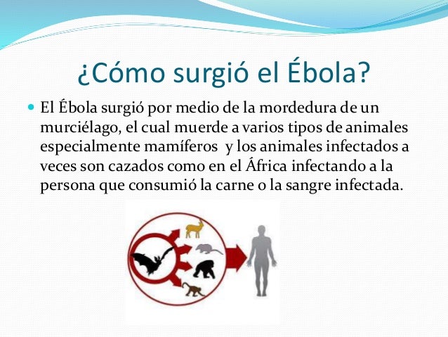 QUE ES EBOLA PDF DOWNLOAD QUE ES EBOLA PDF DOWNLOAD