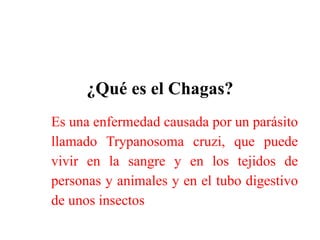 ¿Qué es el Chagas?
Es una enfermedad causada por un parásito
llamado Trypanosoma cruzi, que puede
vivir en la sangre y en los tejidos de
personas y animales y en el tubo digestivo
de unos insectos
 